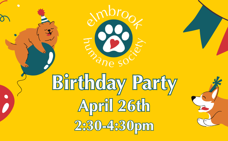 Birthday Party - April 26th, 2:30-4:30pm